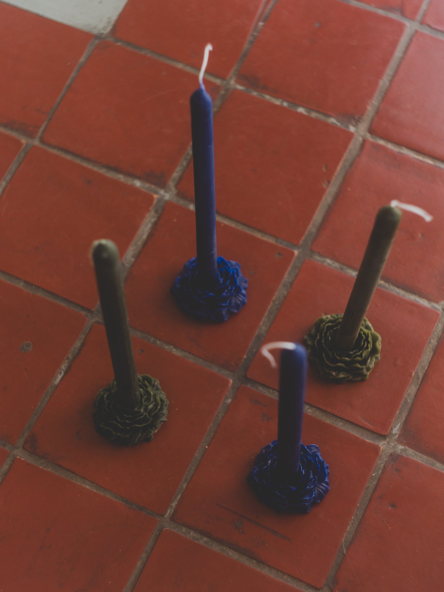 PEONÍA 01