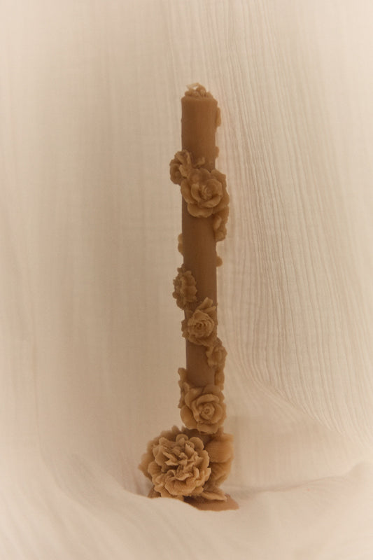 CLAVEL