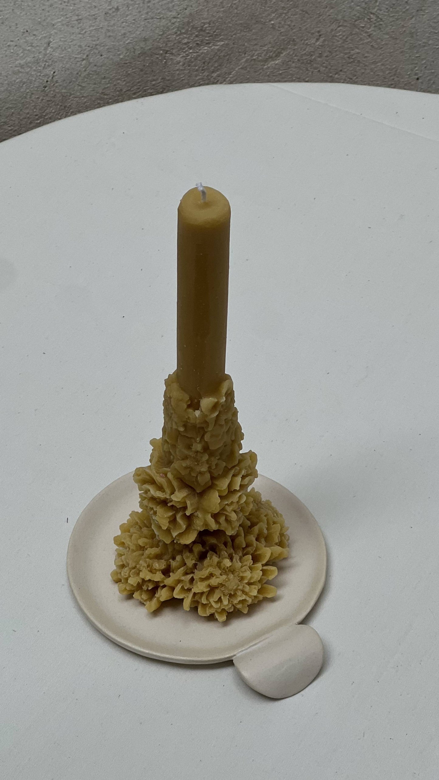 CRISANTEMO
